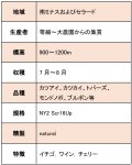 画像6: ブラジル　ベリー スペシャル、natural　2023/24　※ハンドピック済１kg (6)