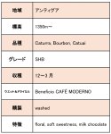 画像3: グアテマラ SHB アンティグア マリアージュ, washed 2023/24　※ハンドピック済１kg (3)